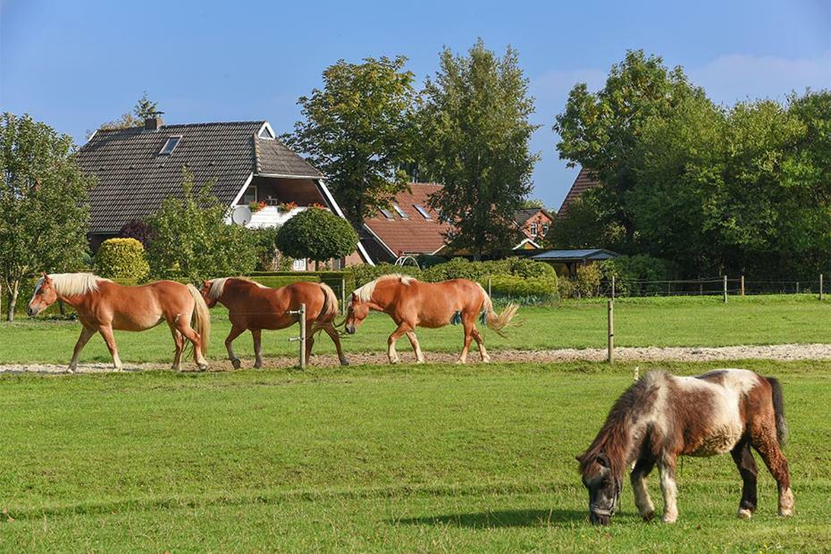 Ferienhof Zur Alten Linde Holtgast Zewnętrze zdjęcie